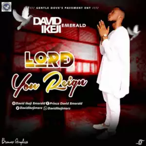 David Emerald Ikeji - Lord You Reign